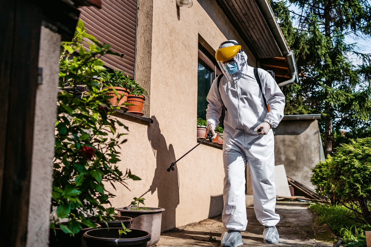 tips-to-hire-the-best-residential-pest-control-in-eau-claire-wi