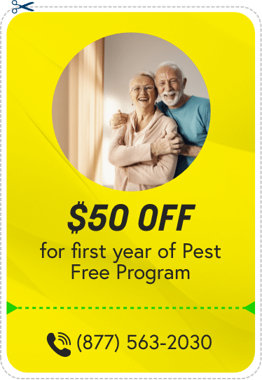 50% off off pest free program